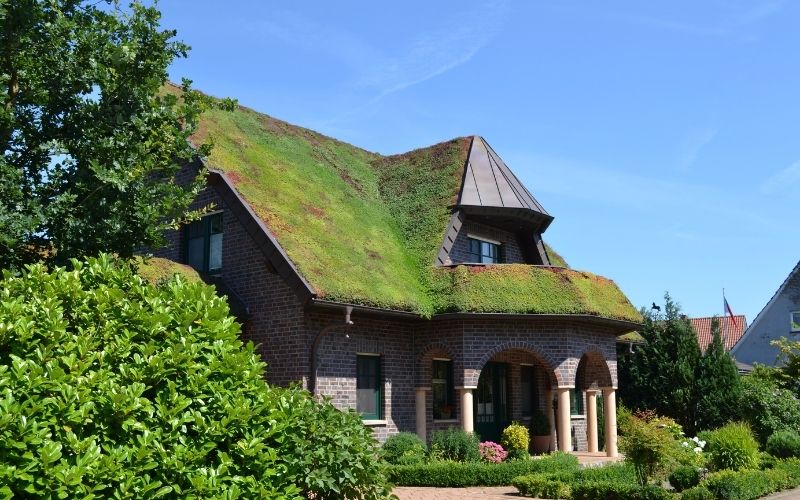 Steildächer begrünen mit dem TOPGREEN-Gründachsystem